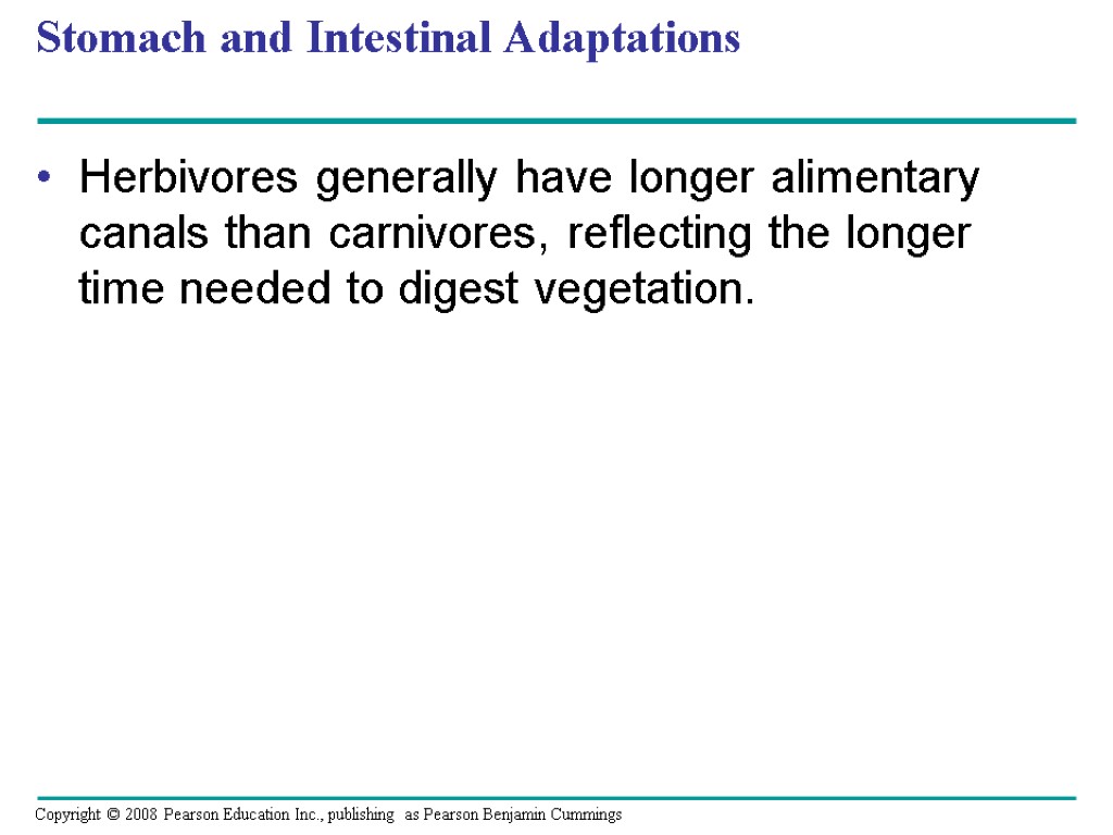 Stomach and Intestinal Adaptations Herbivores generally have longer alimentary canals than carnivores, reflecting the